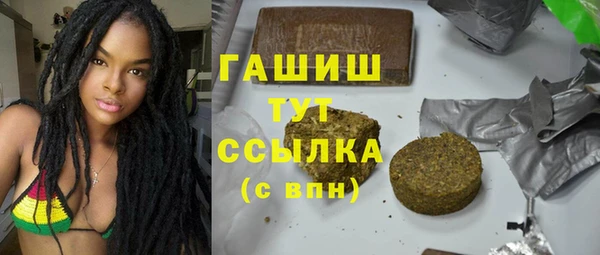 сатива Верея