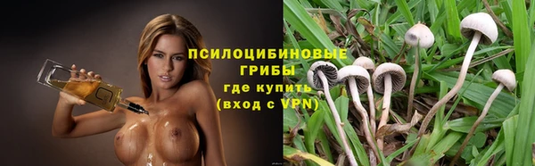 mdpv Верхний Тагил