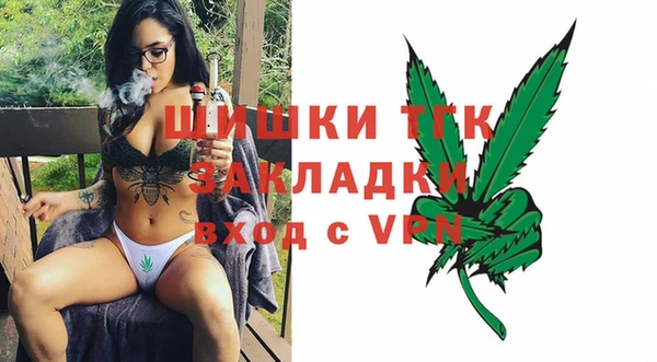 сатива Верея