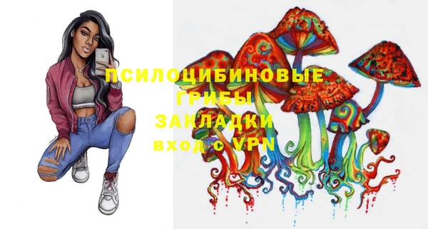 сатива Верея